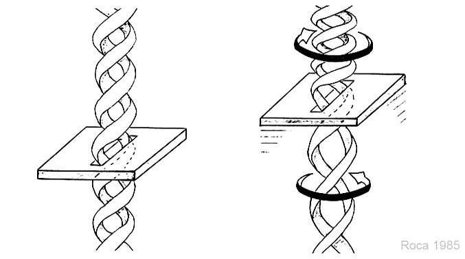 Hand-drawn Roca 1985